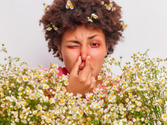 les allergies au pollen