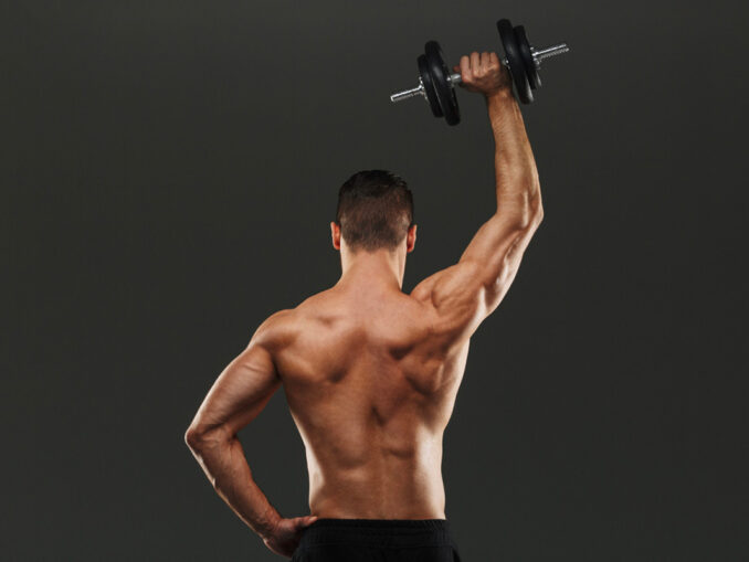 muscler son dos