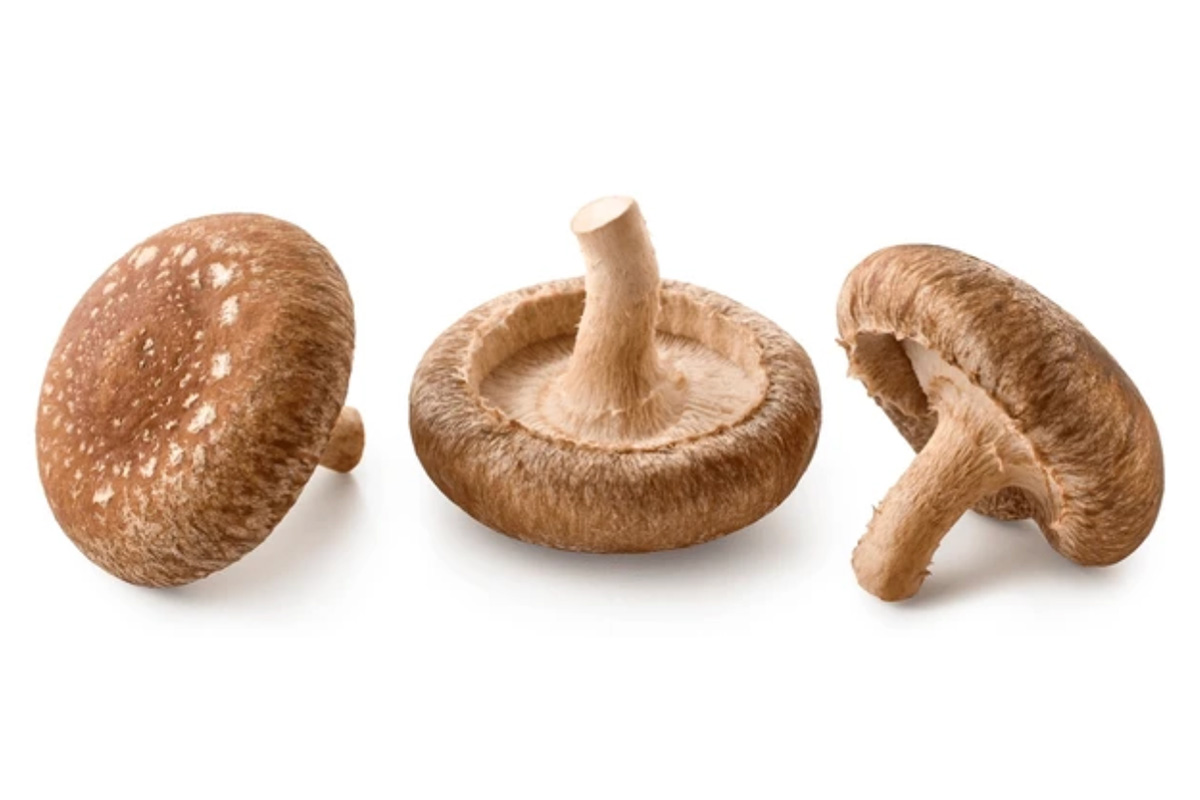 Shiitake
