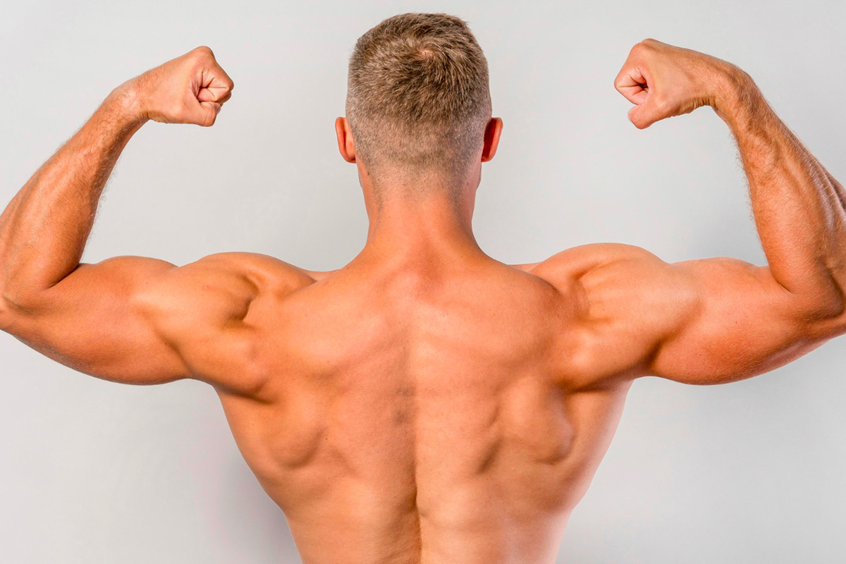 comment muscler épaules