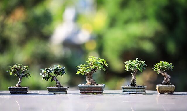 Comment créer une ambiance zen chez soi en 6 étapes