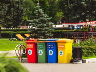 Comment réduire ses déchets en 6 étapes concrètes