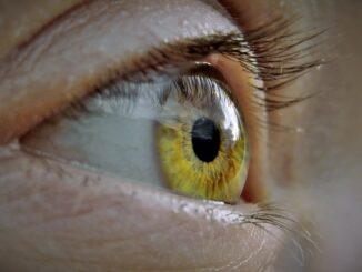Créer un vision board pour visualiser ses projets