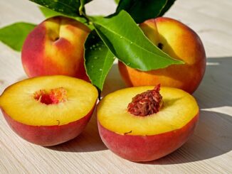 Quels aliments pour une bonne santé oculaire ?