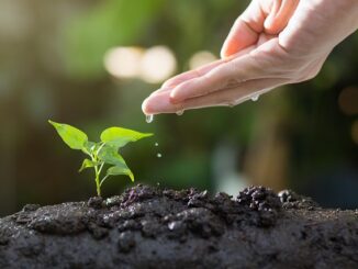 Écologie et enfants : les sensibiliser dès le plus jeune âge