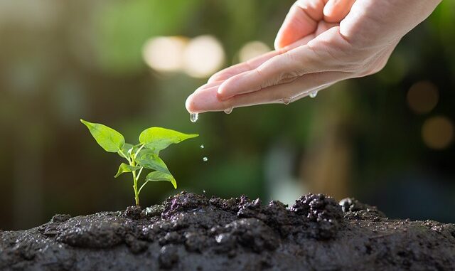 Écologie et enfants : les sensibiliser dès le plus jeune âge