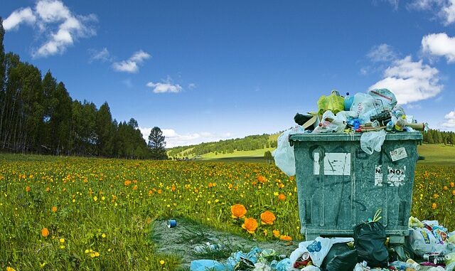 Recycler les déchets de cuisine pour nourrir son jardin