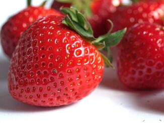 Les aliments qui boostent la santé au quotidien