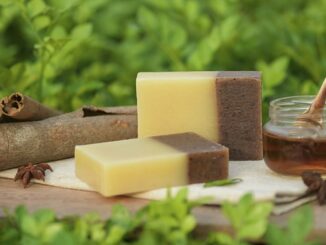 Miel et cannelle : duo efficace ou simple effet de mode ?