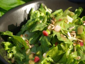 Quelle est la différence entre un bon cholestérol et un mauvais cholestérol ?