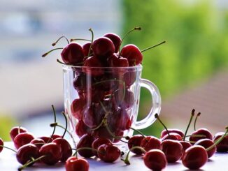 Quelle est la différence entre un produit bio et un produit naturel ?