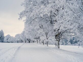 Quels soins privilégier en hiver ?