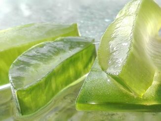 Utiliser l’aloe vera en soin visage & corps