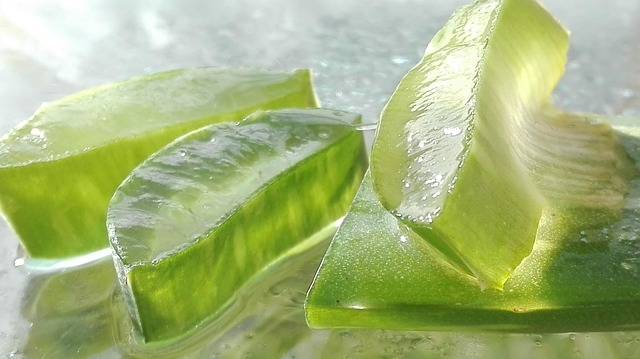 Utiliser l’aloe vera en soin visage & corps