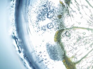 Boire de l’eau citronnée le matin : vrai remède ou simple effet de mode ?
