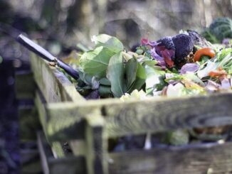 Créer un compost chez soi : ce qu’il faut savoir