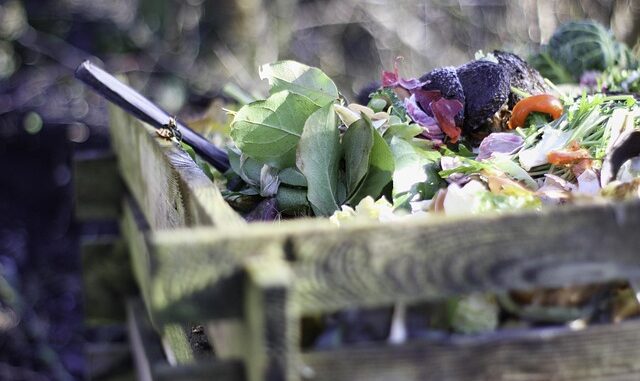 Créer un compost chez soi : ce qu’il faut savoir