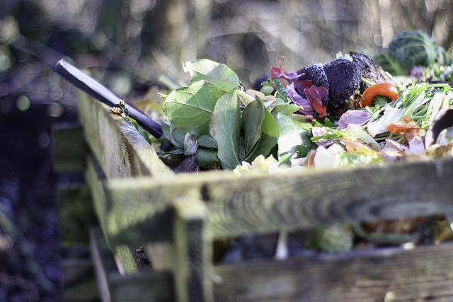 Créer un compost chez soi : ce qu’il faut savoir