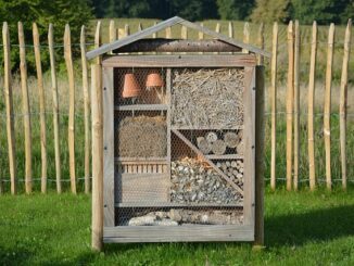 Créer un hôtel à insectes pour favoriser la biodiversité