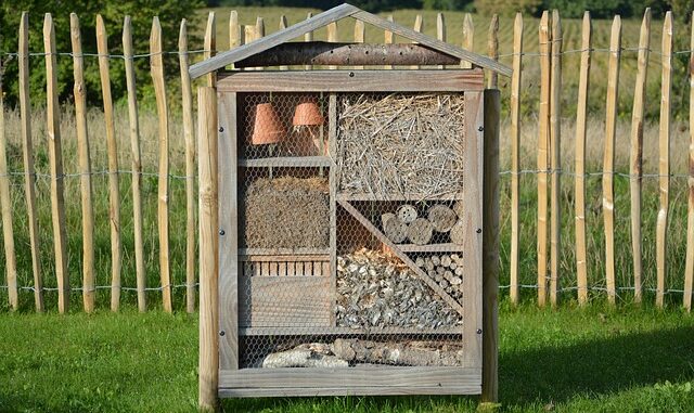 Créer un hôtel à insectes pour favoriser la biodiversité