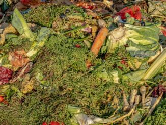 Fabriquer son compost maison : méthode simple