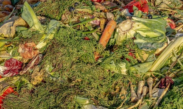 Fabriquer son compost maison : méthode simple