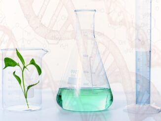 Faire son ménage sans produits chimiques