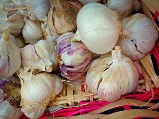 Halitose : les vraies causes de la mauvaise haleine