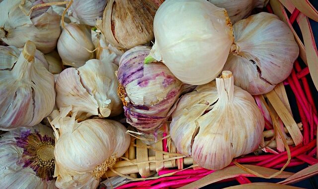 Halitose : les vraies causes de la mauvaise haleine