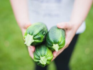 Le rôle des fibres dans la lutte contre le cholestérol