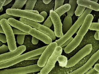 Les maladies de peau fréquentes et comment les apaiser