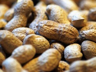Que faire si votre enfant a une allergie aux arachides ?