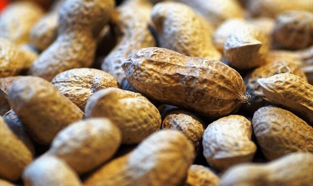 Que faire si votre enfant a une allergie aux arachides ?