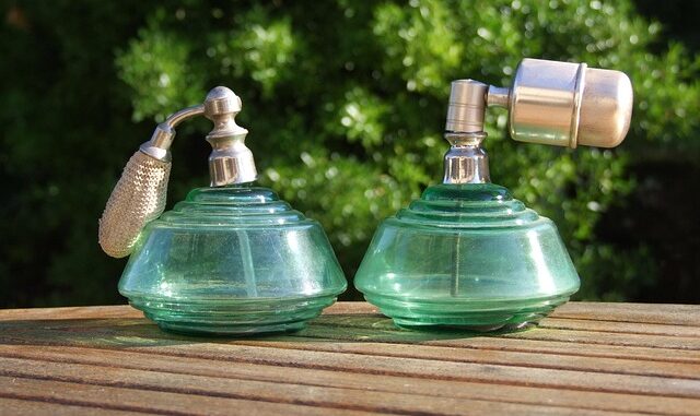 Quelle est la différence entre brumisateur et vaporisateur ?
