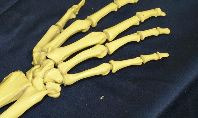 Quelle est la différence entre douleurs articulaires et musculaires ?
