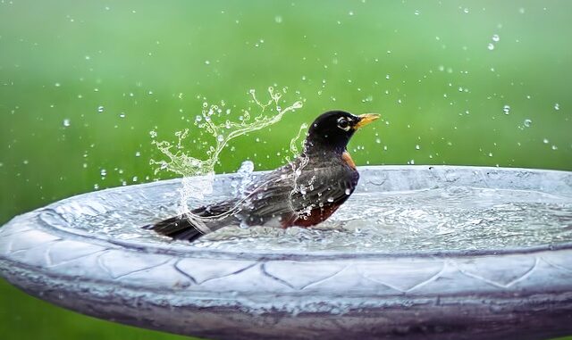 Quelle est la différence entre un bain chaud et un bain tiède ?