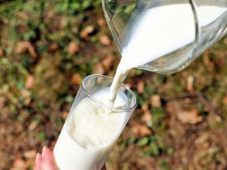 Quelle est la différence entre une intolérance au lactose et une allergie au lait ?