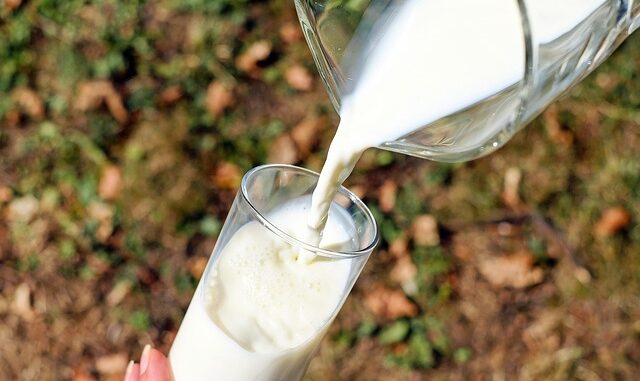 Quelle est la différence entre une intolérance au lactose et une allergie au lait ?