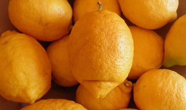 Quelle est la différence entre vitamine D2 et D3 ?