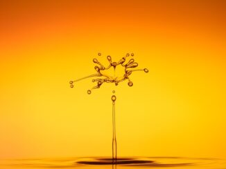 Réduire sa consommation d’eau facilement à la maison