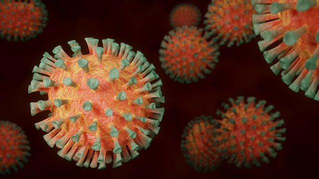 Infections urinaires : prévention et solutions naturelles