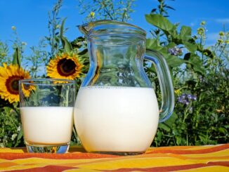 Quelle est la différence entre lait d’amande et lait de soja ?