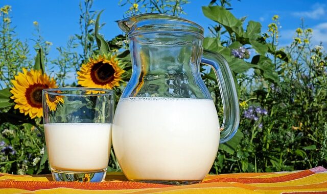 Quelle est la différence entre lait d’amande et lait de soja ?