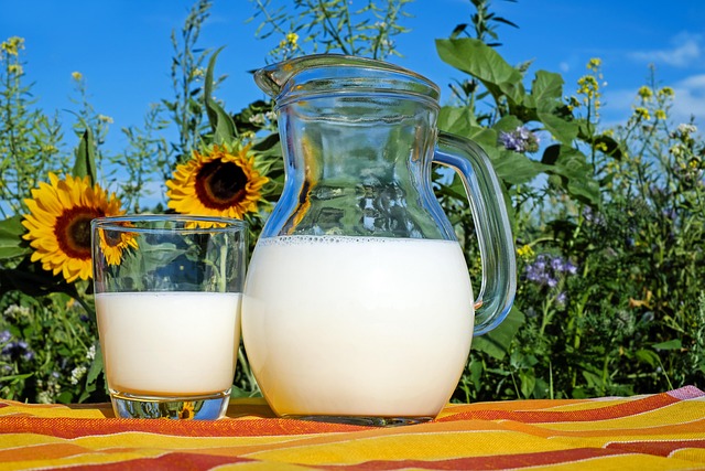 Quelle est la différence entre lait d’amande et lait de soja ?