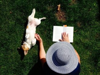 Quels animaux sont les plus hypoallergéniques ?
