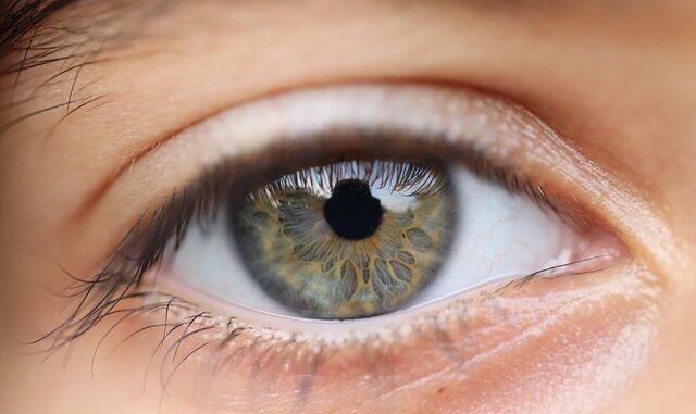 Vue et vieillissement : ce qu’il faut anticiper