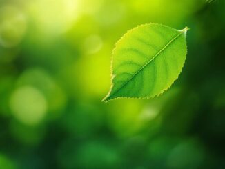 Accepter les pertes… sans renoncer à sa vitalité