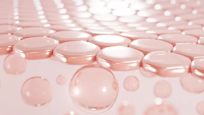 meilleure marque collagène