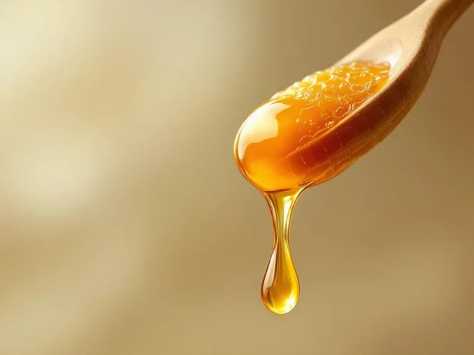 Le miel dans l’histoire pourquoi il a autant de valeur